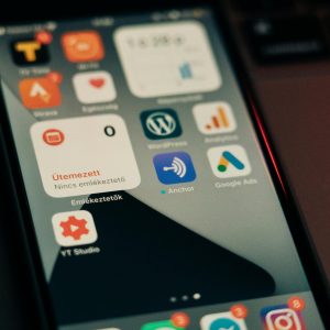 WordPress Regular Hosting